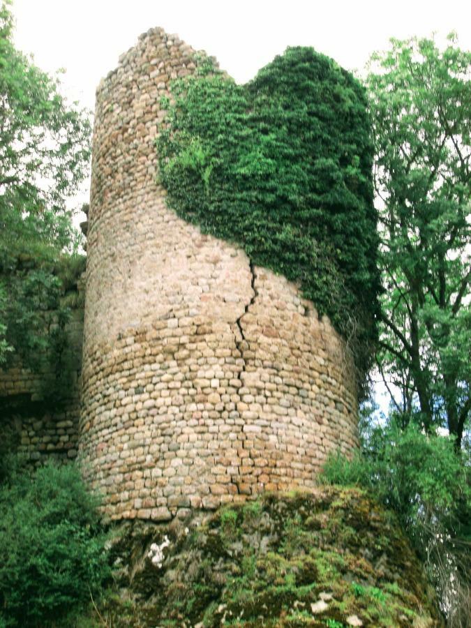 Félines Le Bos Clardヴィラ エクステリア 写真