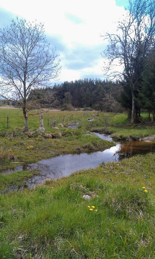 Félines Le Bos Clardヴィラ エクステリア 写真