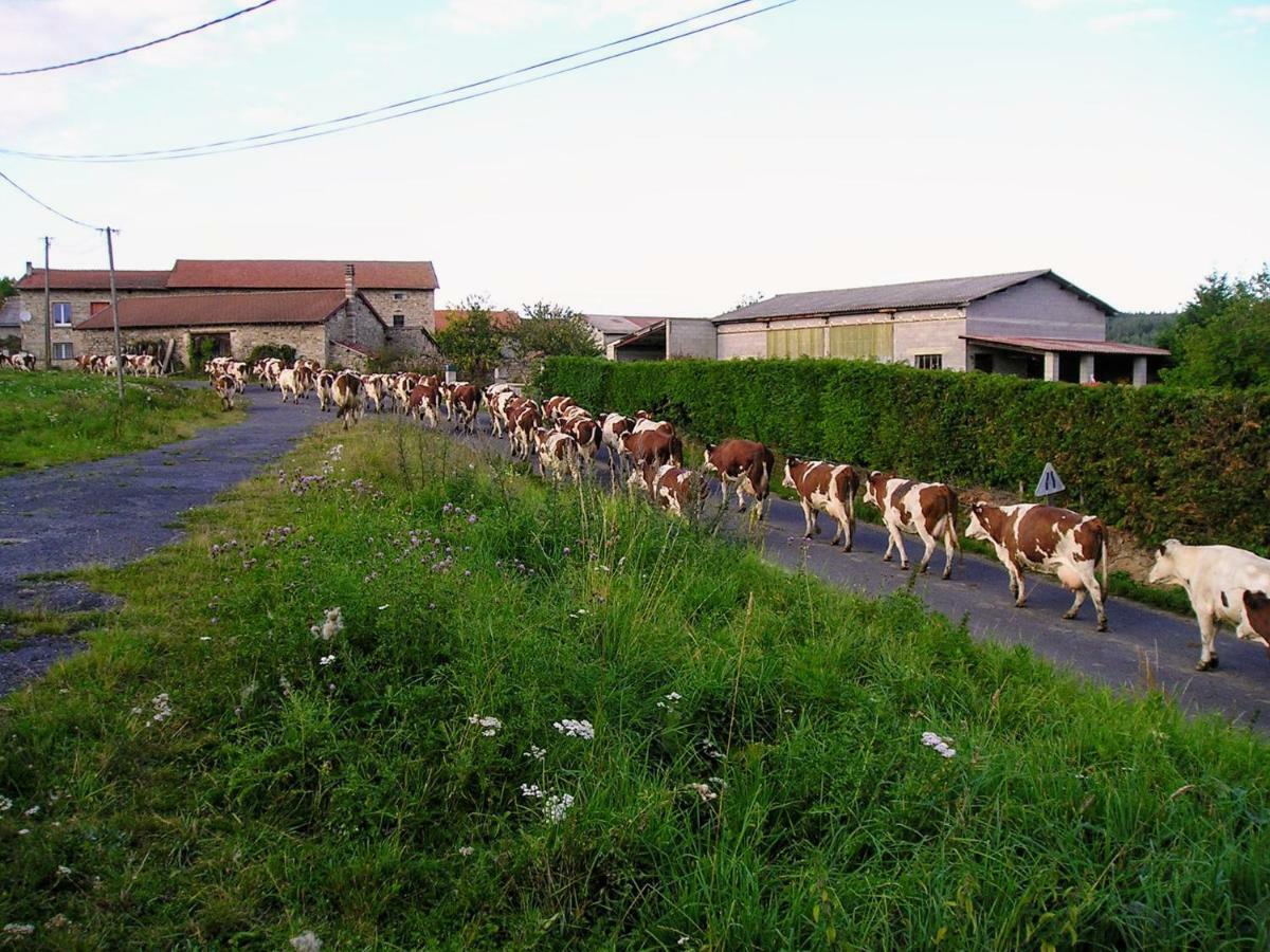 Félines Le Bos Clardヴィラ エクステリア 写真